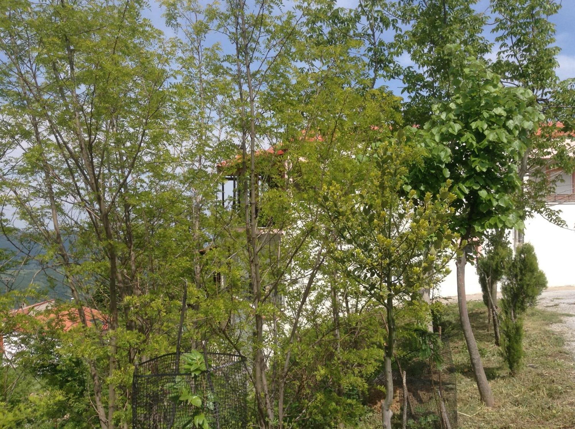 Πανδοχείο Λίμνης Πλαστήρα Hotell Kastanéa Exteriör bild